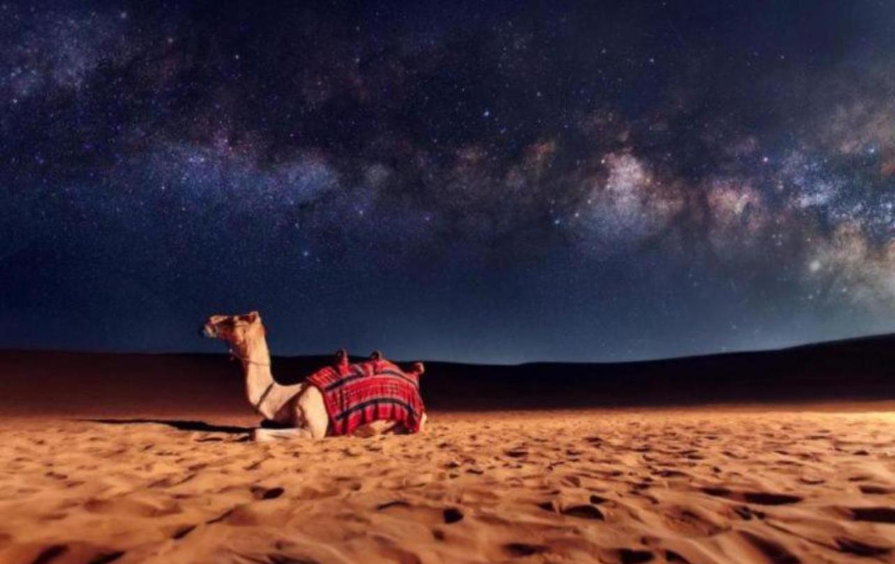 ホテル Bedouin Bunch Camp ワディ ・ラム エクステリア 写真