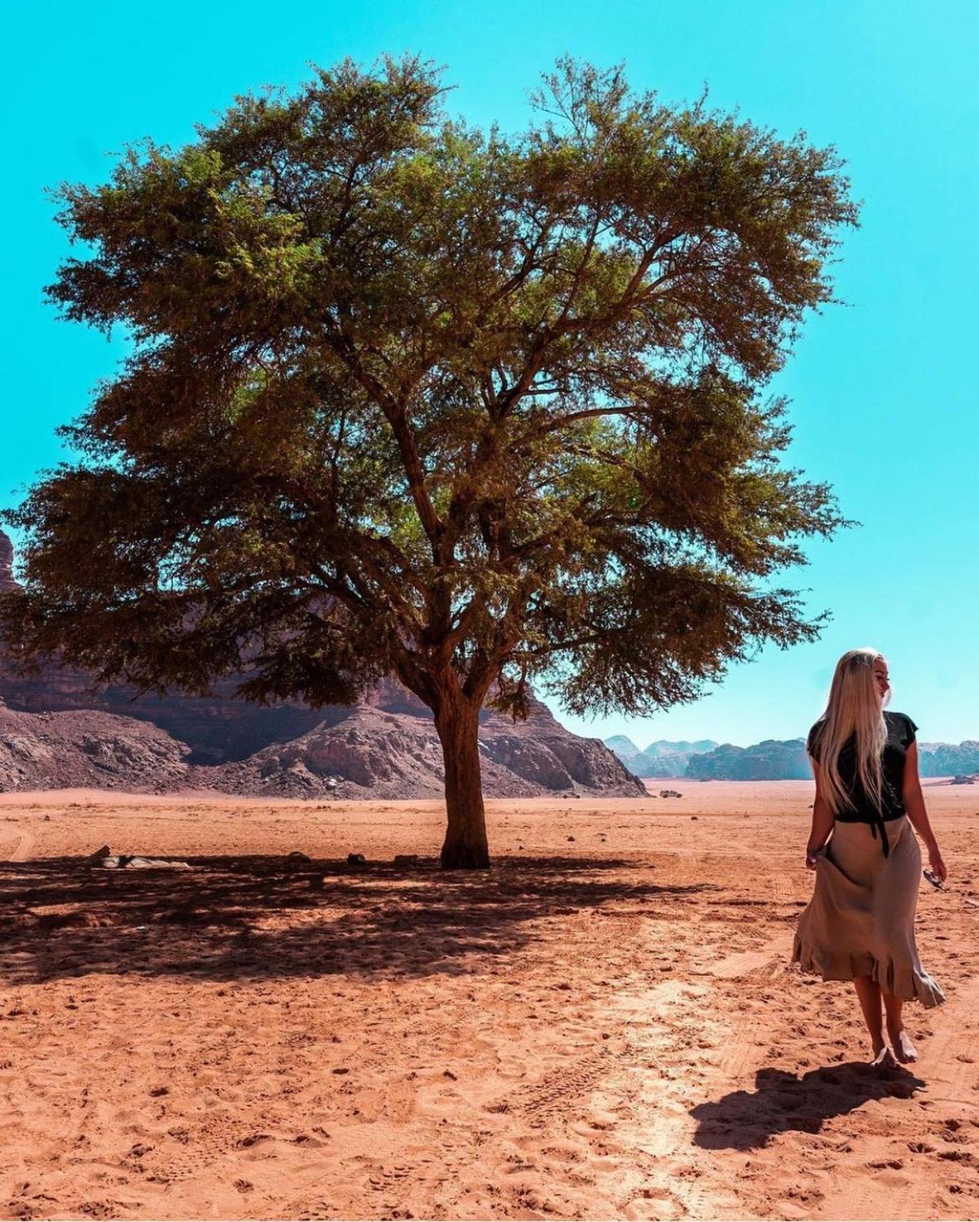 ホテル Bedouin Bunch Camp ワディ ・ラム エクステリア 写真