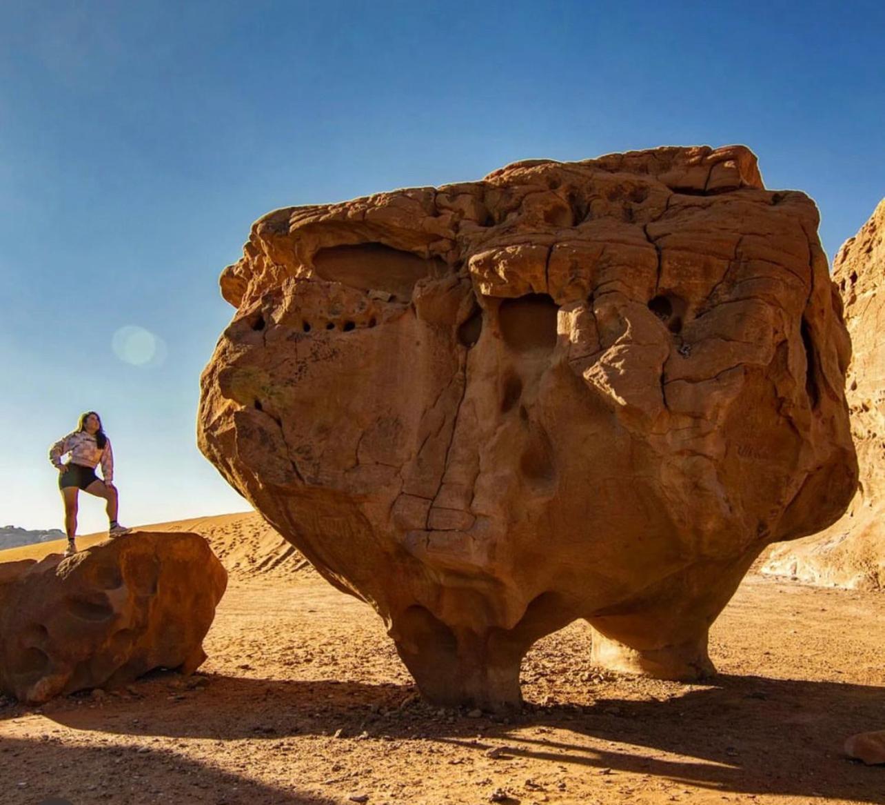 ホテル Bedouin Bunch Camp ワディ ・ラム エクステリア 写真