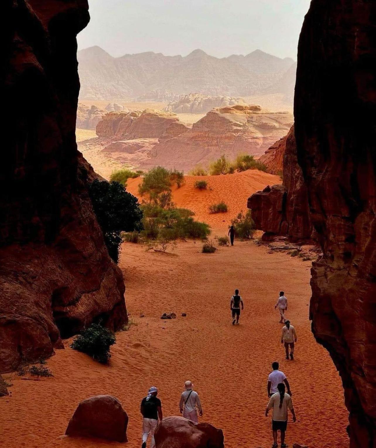 ホテル Bedouin Bunch Camp ワディ ・ラム エクステリア 写真